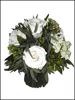 www.floristic.ru - .     -   !