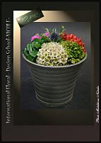 www.floristic.ru - .  