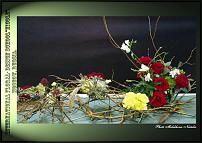 www.floristic.ru - .  