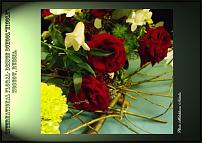 www.floristic.ru - .  