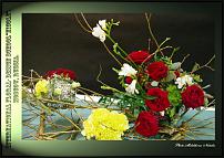 www.floristic.ru - .  