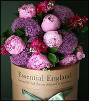www.floristic.ru - .           !!