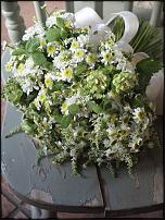 www.floristic.ru - .  "" (, )