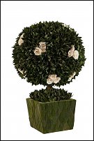 www.floristic.ru - .     -   !