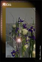 www.floristic.ru - .  