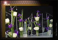 www.floristic.ru - .  