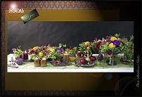 www.floristic.ru - .  