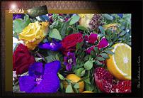 www.floristic.ru - .  