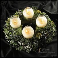 www.floristic.ru - .  