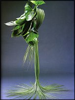 www.floristic.ru - . Monique Gautier ( )