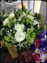 www.floristic.ru - .   , .