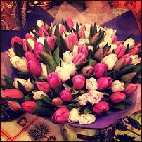 www.floristic.ru - .   , .