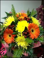 www.floristic.ru - .   , .