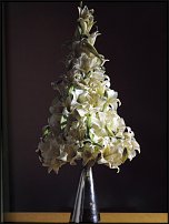 www.floristic.ru - Флористика. Monique Gautier (Моник Готье)