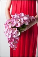 www.floristic.ru - . . "  "
