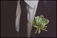 www.floristic.ru - .  "" (, )