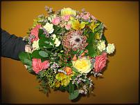 www.floristic.ru - .       ...