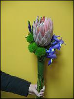 www.floristic.ru - .       ...