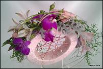 www.floristic.ru - .  