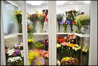 www.floristic.ru - .  -  