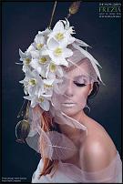 www.floristic.ru - . (Eucharis) -  .