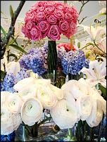 www.floristic.ru - .  "" (, )