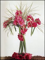 www.floristic.ru - . Monique Gautier ( )