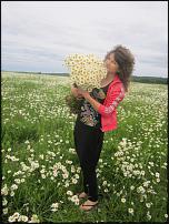 www.floristic.ru - .  .