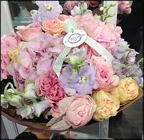 www.floristic.ru - .     .!