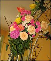 www.floristic.ru - .  "" (, )