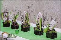 www.floristic.ru - .    . "  "  . .