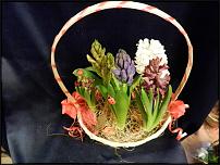 www.floristic.ru - Флористика. Продам корзины с гиацинтами