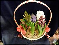 www.floristic.ru - .    