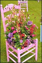 www.floristic.ru - .  "" (, )