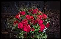 www.floristic.ru - .           .