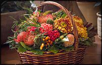 www.floristic.ru - Флористика. флорист с большим опытом работы в цветочных салонах москвы и подмосковья.