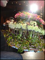 www.floristic.ru - .        