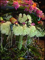 www.floristic.ru - .        