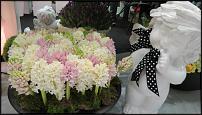 www.floristic.ru - . 9-    "Flowers&Hortech Ukraine 2015"