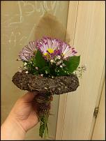 www.floristic.ru - .    !!!