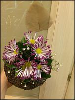 www.floristic.ru - .    !!!