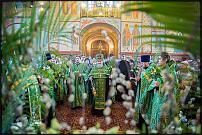 www.floristic.ru - .  