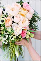 www.floristic.ru - .  "" (, )