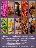 www.floristic.ru - . -  