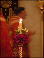 www.floristic.ru - .  