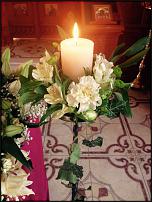 www.floristic.ru - .  