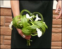 www.floristic.ru - .    