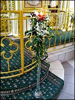 www.floristic.ru - .  