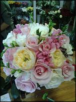 www.floristic.ru - .      .