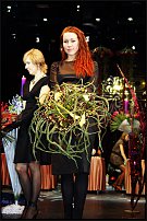 www.floristic.ru - .        